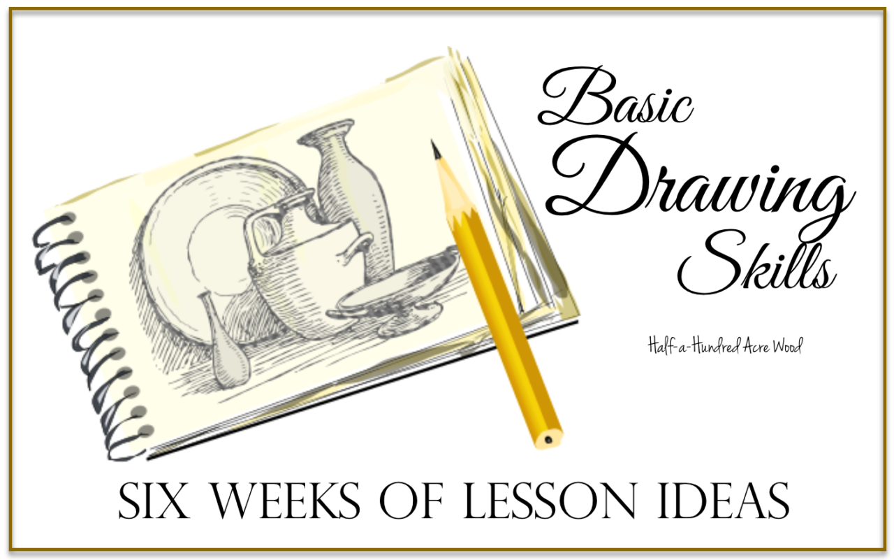 Basic Drawing Skills Six Weeks Of Lesson Ideas Half A Hundred Acre Wood