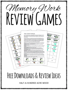 Memory Work Review Games