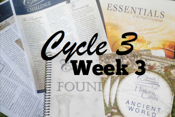 Classical Conversations Cycle 3 Week 3 Half A Hundred Acre Wood