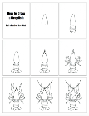 Vector lobster isolated marine animal crayfish  Stock Illustration  94921441  PIXTA