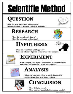 Scientific Method Printables: Posters, Lab Sheets, Bookmarks : Half a ...