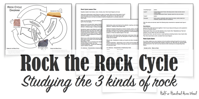 Rock the Rock Cycle Lesson Plans : Half a Hundred Acre Wood