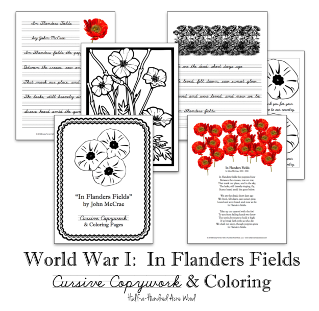 In Flanders Fields, WWI Poem by McCrae, Text, Red Poppy as Symbol