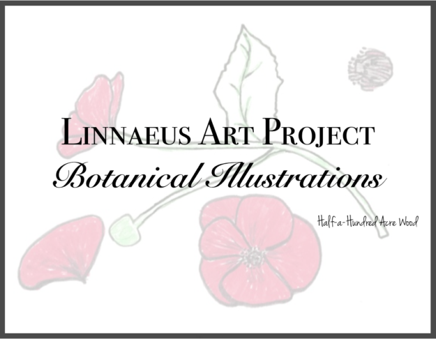 linnaeus-art-project