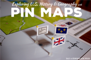 American Revolution Pin Map