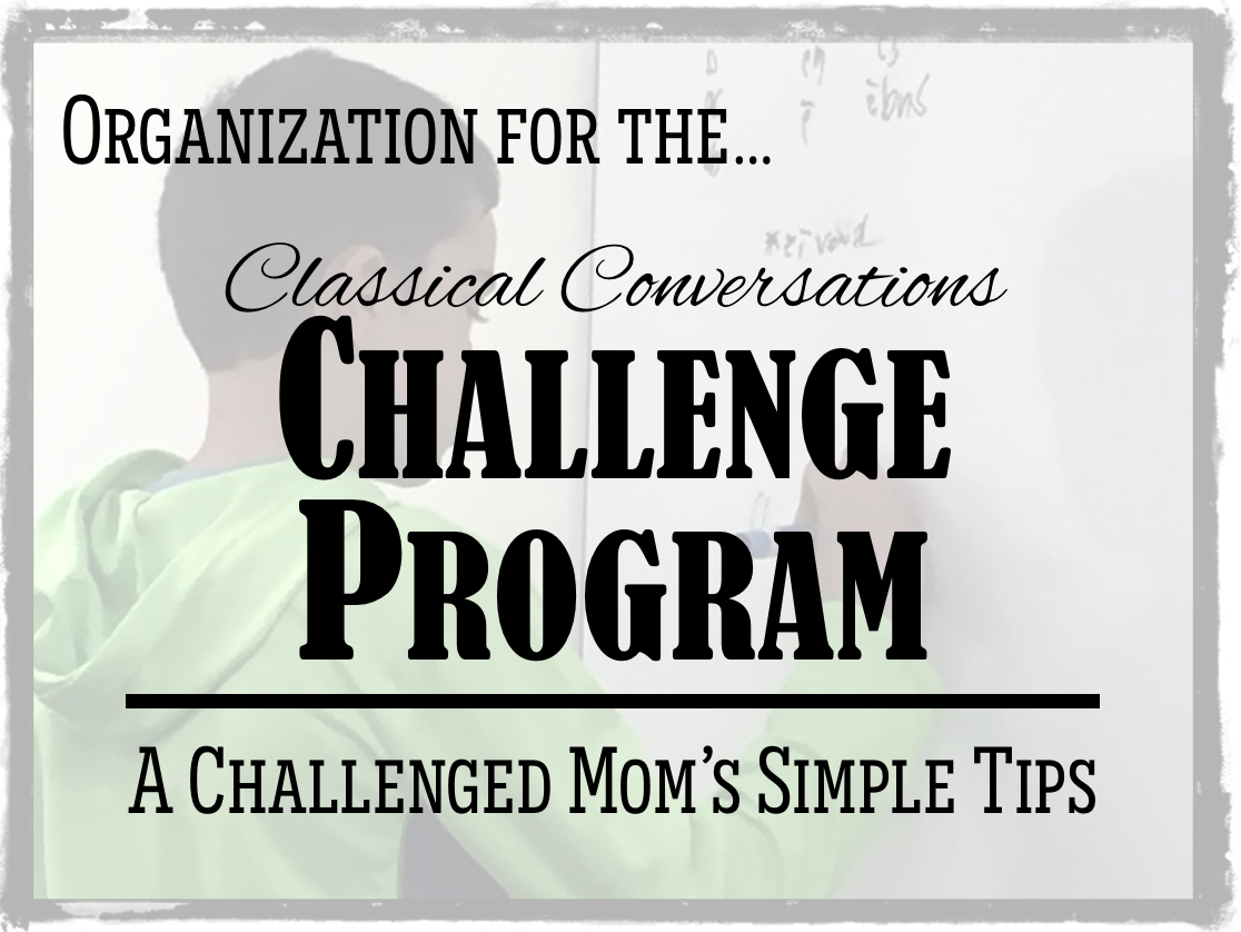 A Seasoned Mom's Tips For The Challenge Program : Half A Hundred Acre Wood