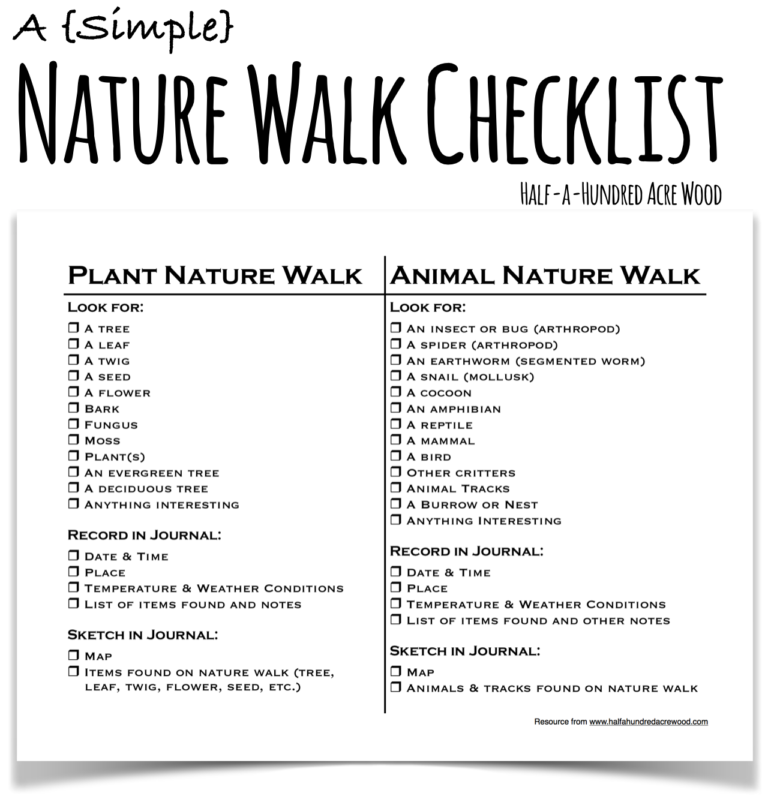 a-simple-nature-walk-checklist-half-a-hundred-acre-wood