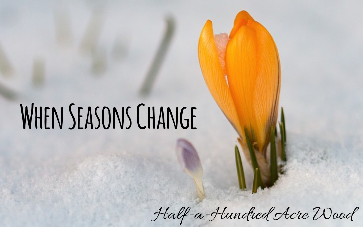 when-seasons-change-laptrinhx-news