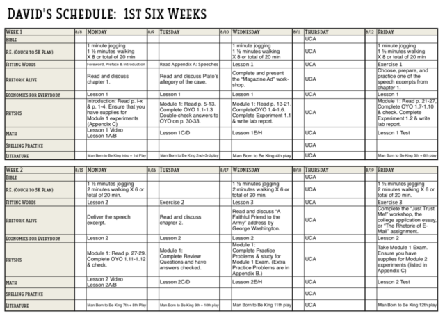 Curriculum Choices: Elementary through High School : Half a Hundred ...