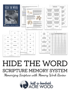 Hide the Word Scripture Memory System